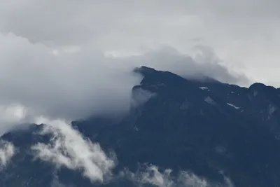 DSC_6243 (Large).JPG